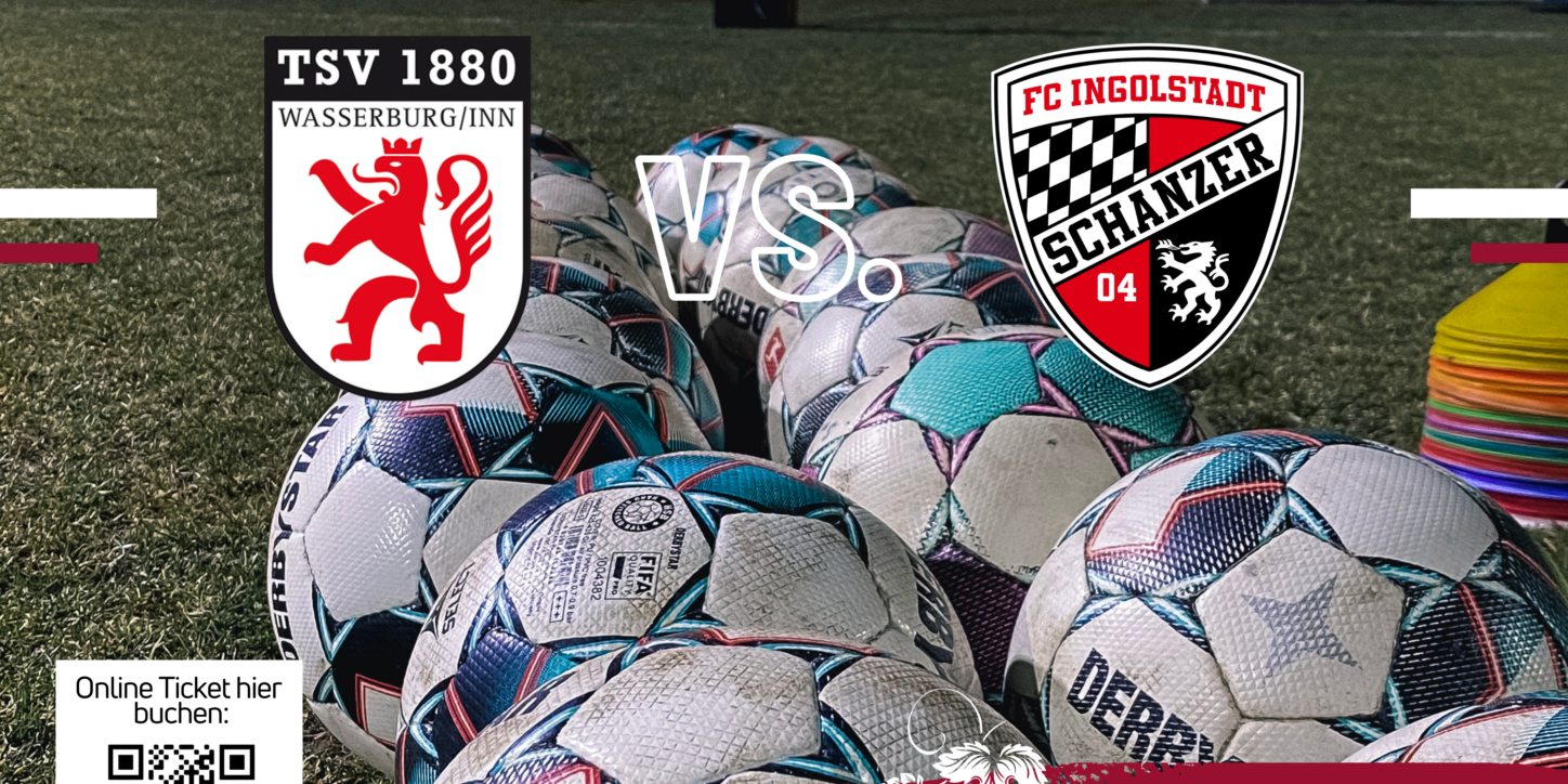 Fc Ingolstadt 1448×2048