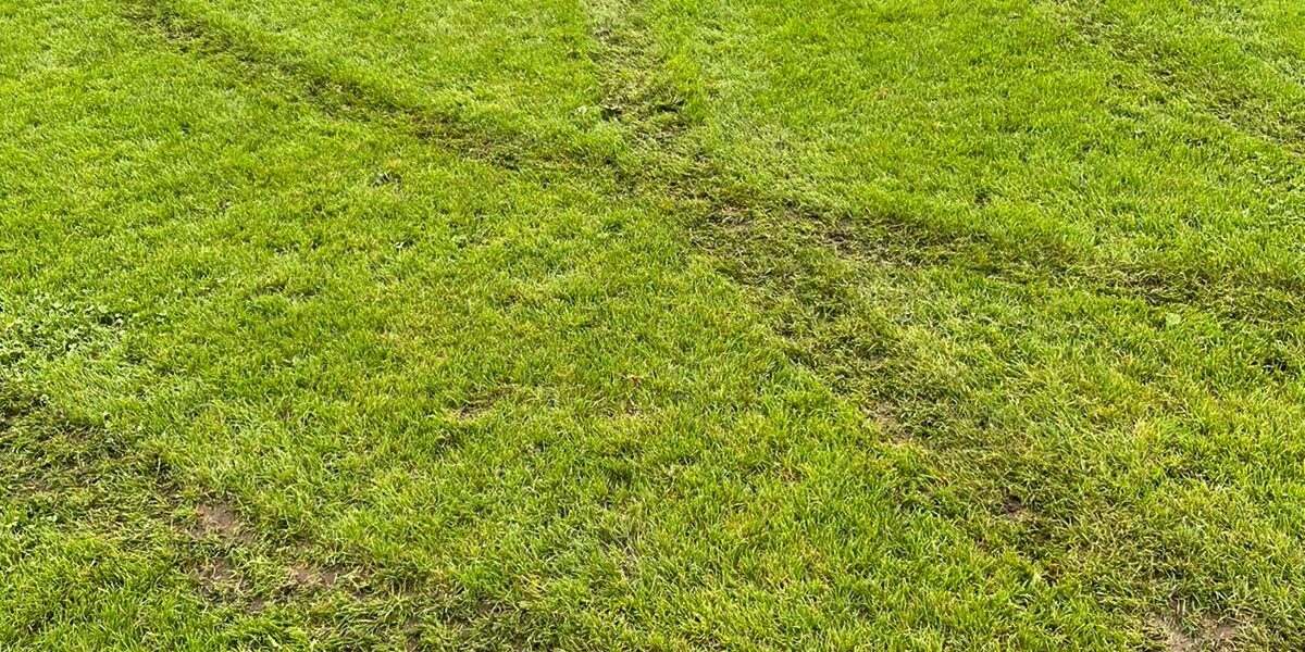 Auto IMG 20220910 WA0003