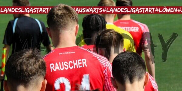 17985293060211638 M 90 600