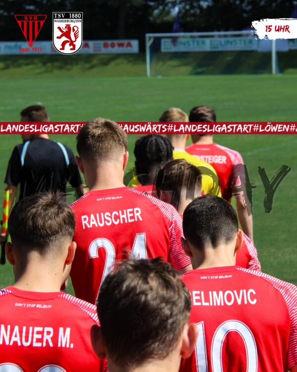 17985293060211638 M 90 600