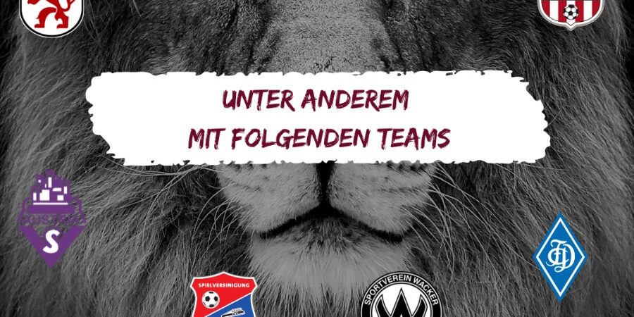 Bauer Hallencup 2024 Grafik